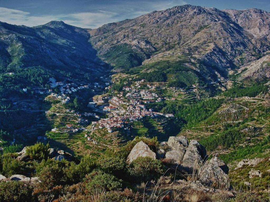 O Vicente Bed & Breakfast Loriga